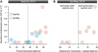 Diazotrophic Cyanobacteria are Associated With a Low Nitrate Resupply to Surface Waters in Lake Tanganyika